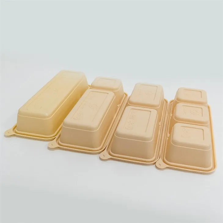 Leak-Proof Biodegradable Lunch Boxes - Keep Your Food Safe (6)