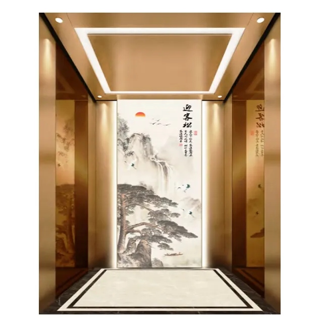 Passenger Elevator 450kg 600kg 630kg 1250kg For Sale Hotel high quality
